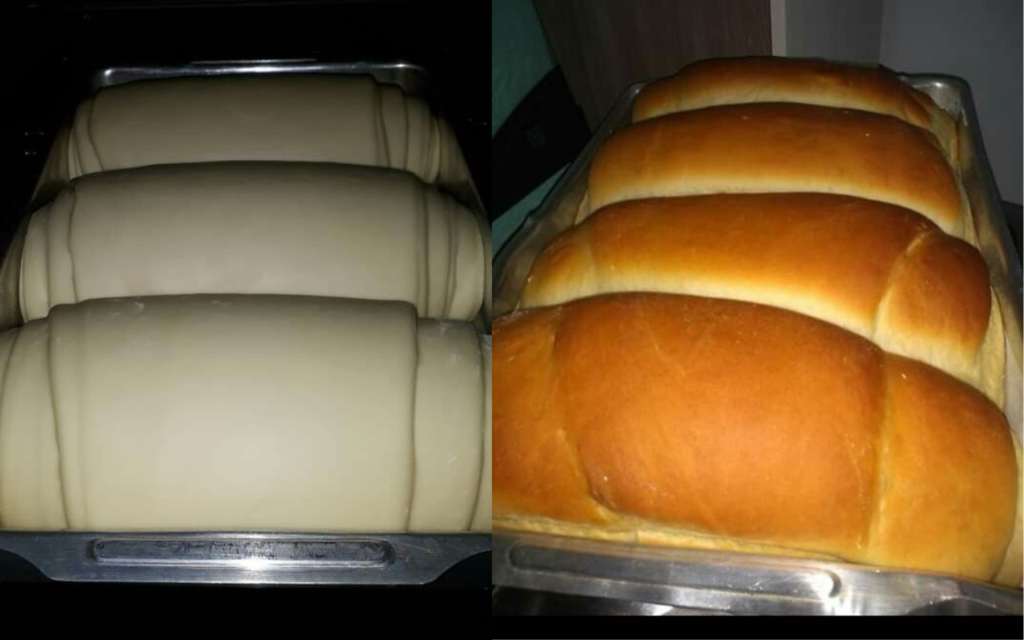 BOLINHO DE ABOBRINHA Até quem não gosta de legumes vai amar esse bolinho. Preparo 45 minutos Serve 6 pessoas Dificuldade Fácil Criado por Teste Receitas Avalie esta receita Seja o primeiro a avali (3)