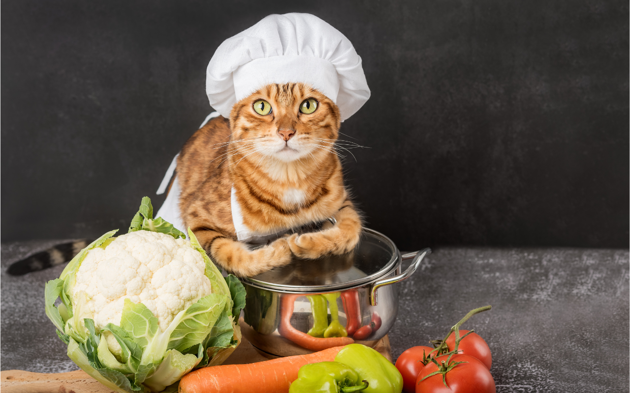 Guia Completo de Alimentação Natural para Gatos: Prepare Refeições Saudáveis em Casa Agora!