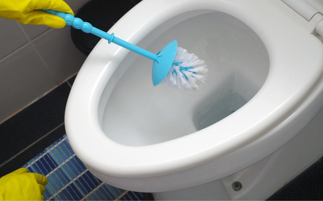 Como Fazer Limpeza de Vaso Sanitário com Produtos Caseiros: Guia Completo e Econômico