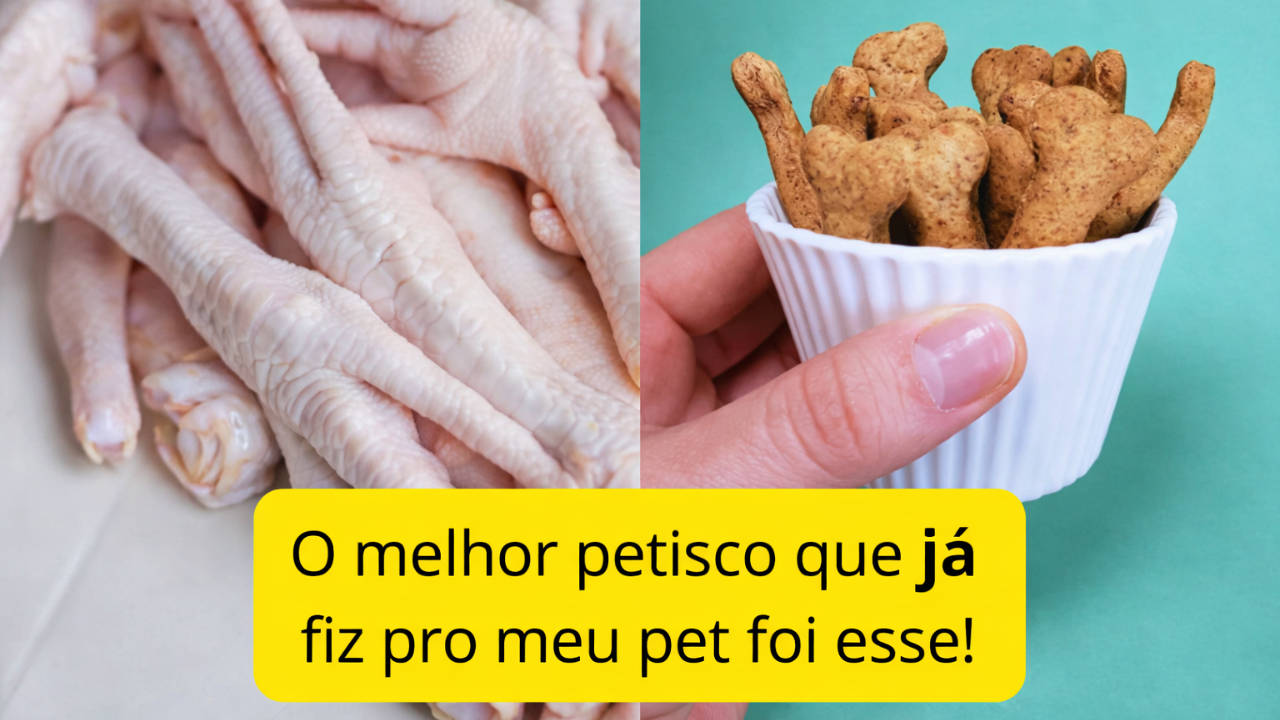 Petisco Caseiro de Pé de frango Natural, saudável e irresistível
