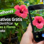 5 melhores aplicativos grátis para identificar plantas e flores pela foto